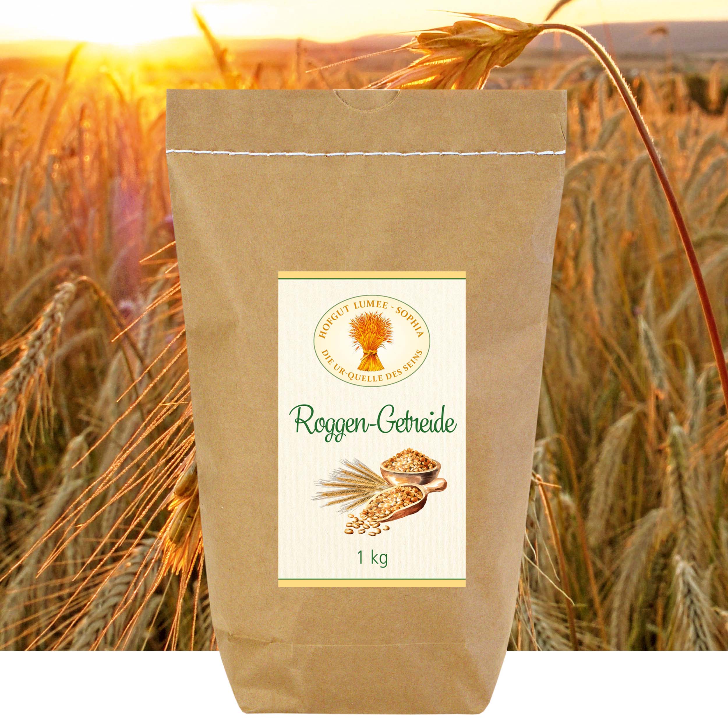 Roggen-Getreide aus biologischem Anbau 1 kg