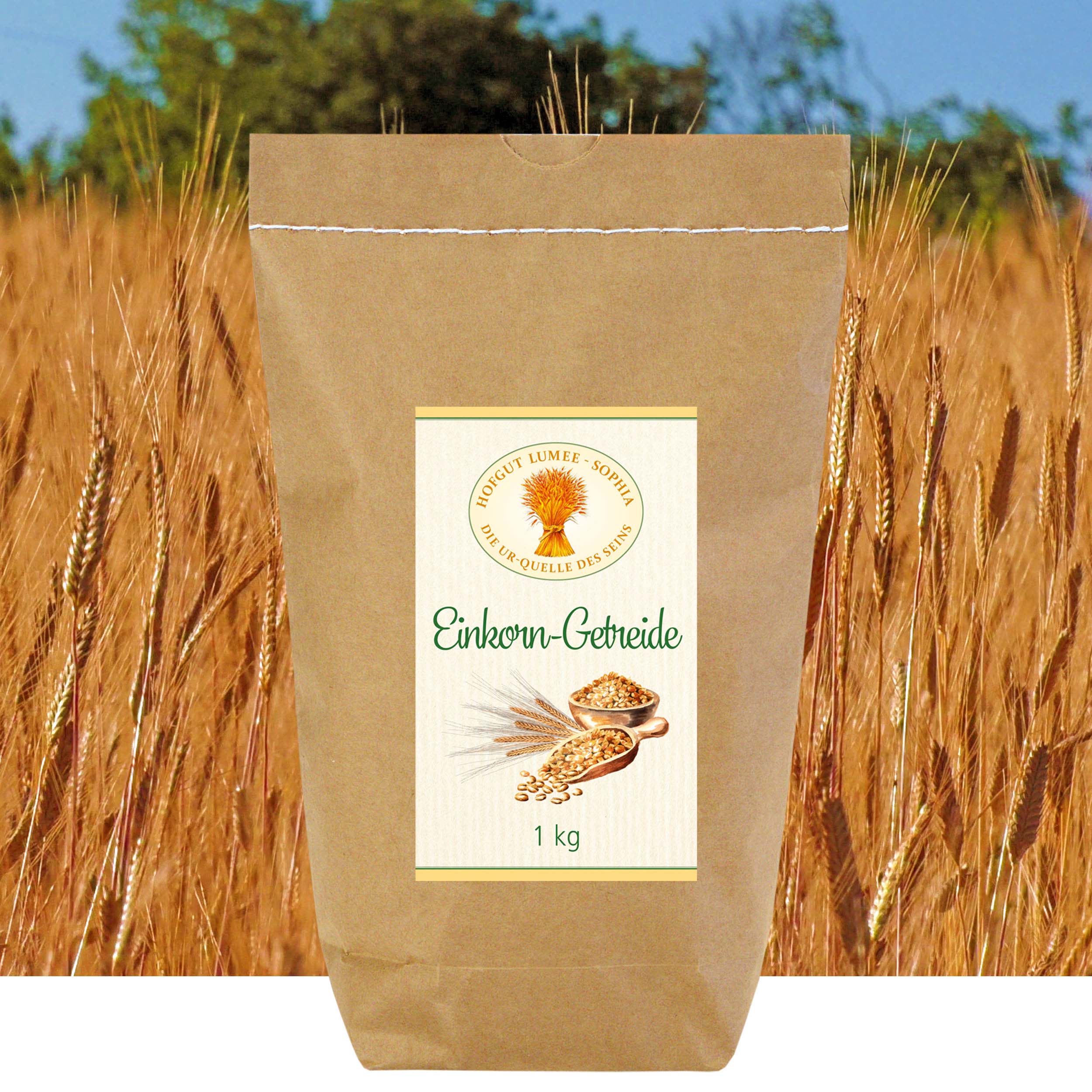 Einkorn-Getreide aus biologischem Anbau 1 kg 