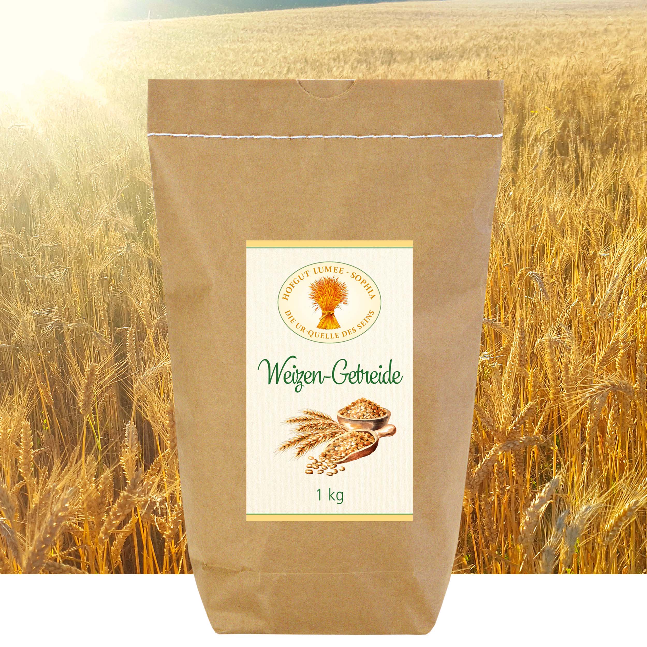 Weizen-Getreide aus biologischem Anbau 1 kg