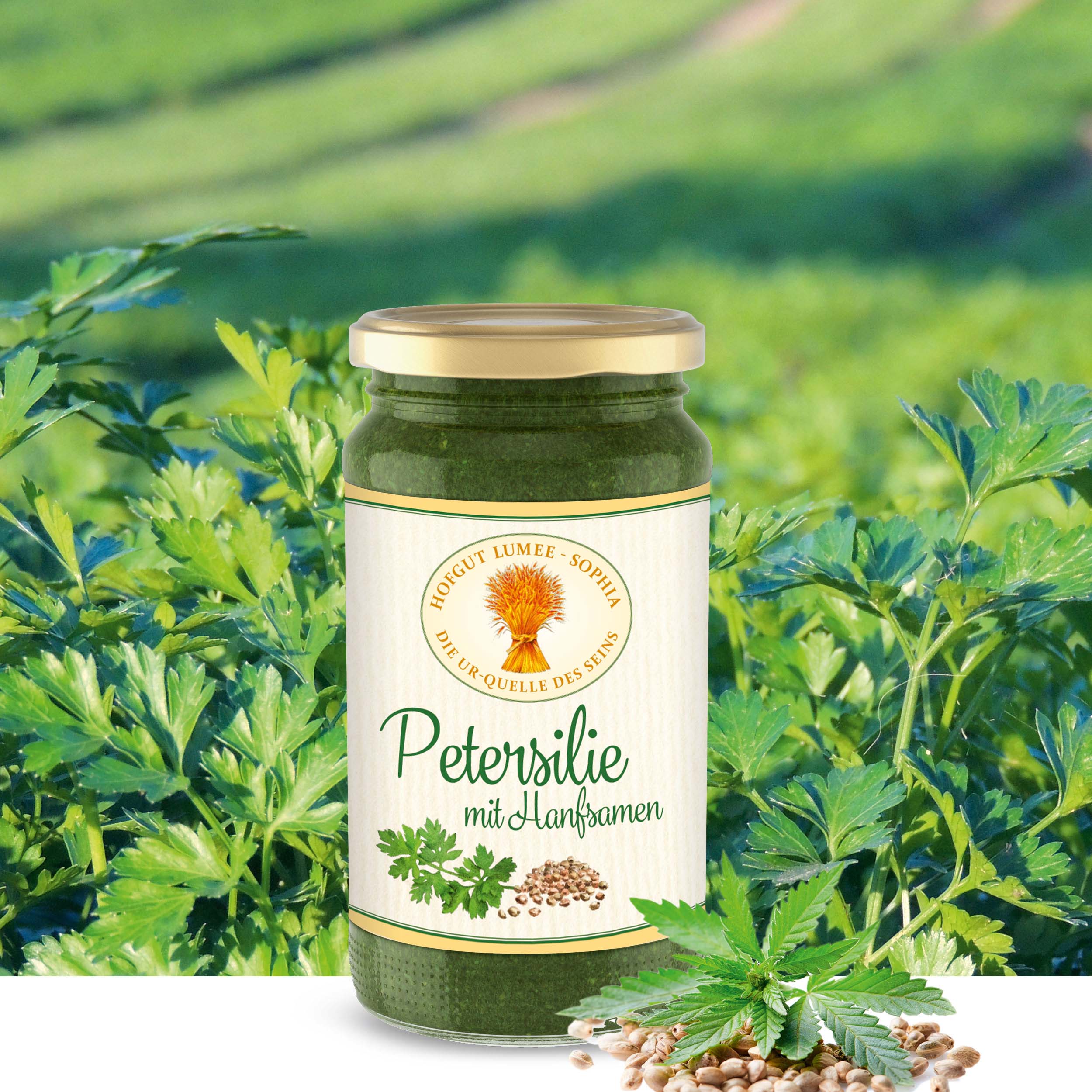 Veganes Petersilien-Pesto mit Hanf aus biologischem Anbau
