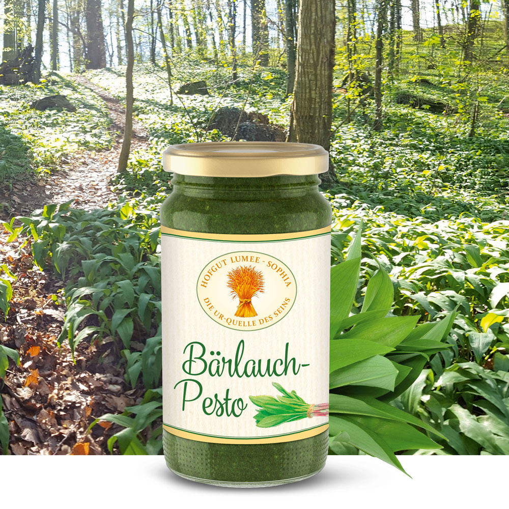 Bärlauch Pesto