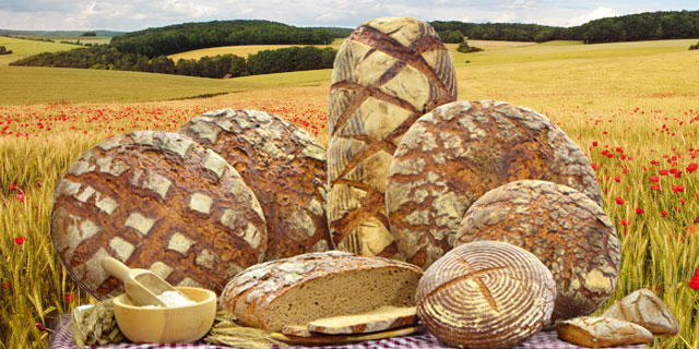 Herzhafte Steinmühlen-Brote von gesunden Feldern