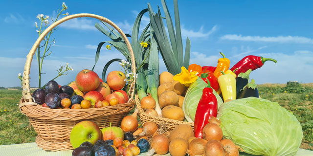 Gemüse und Obst aus ökologischem Anbau